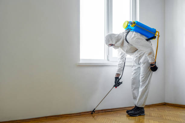 Best Wasp Removal Services  in USA